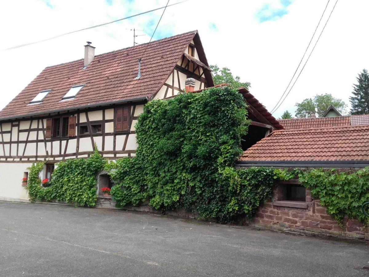 Gite Au Petit Ruisseau-Etage Et Combles-Maison Alsacienne 4 Personnes 4 Nuitees Minimum Langensoultzbach Exterior foto